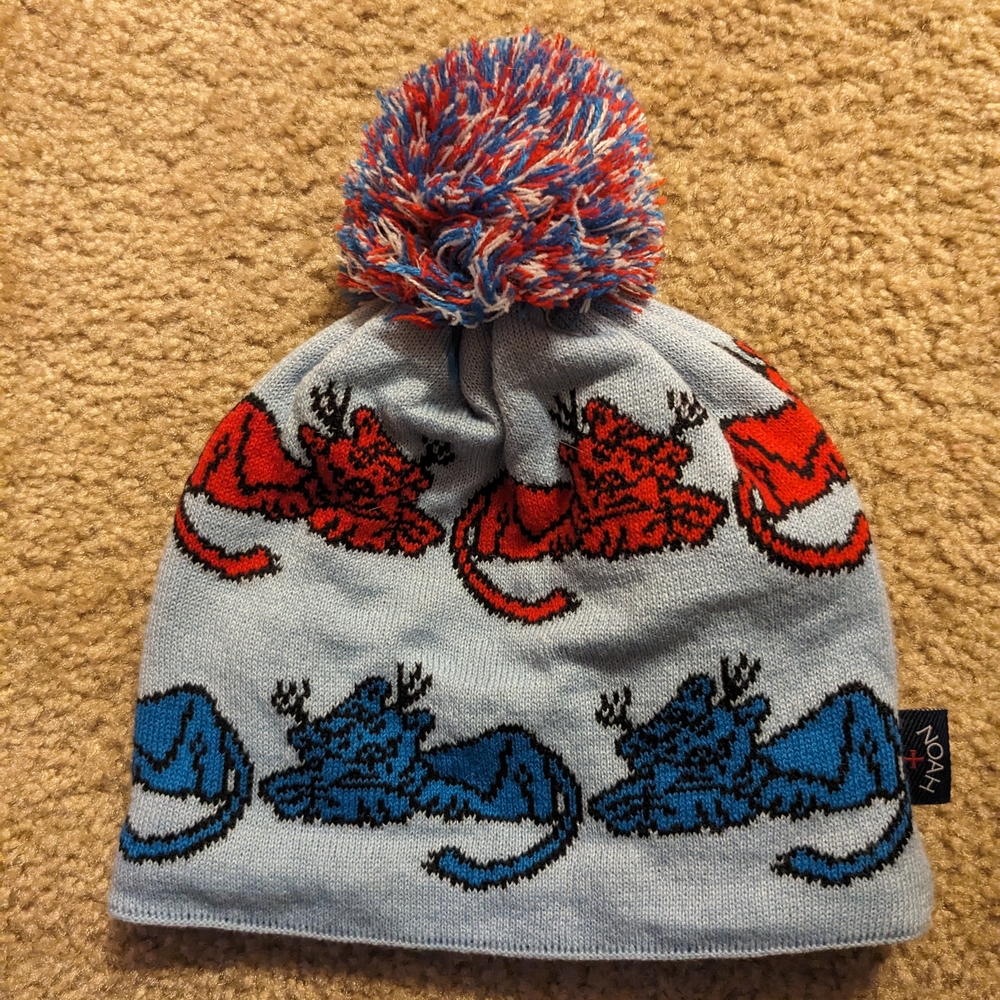 Puma Women's Red and Blue Winter Running Hat